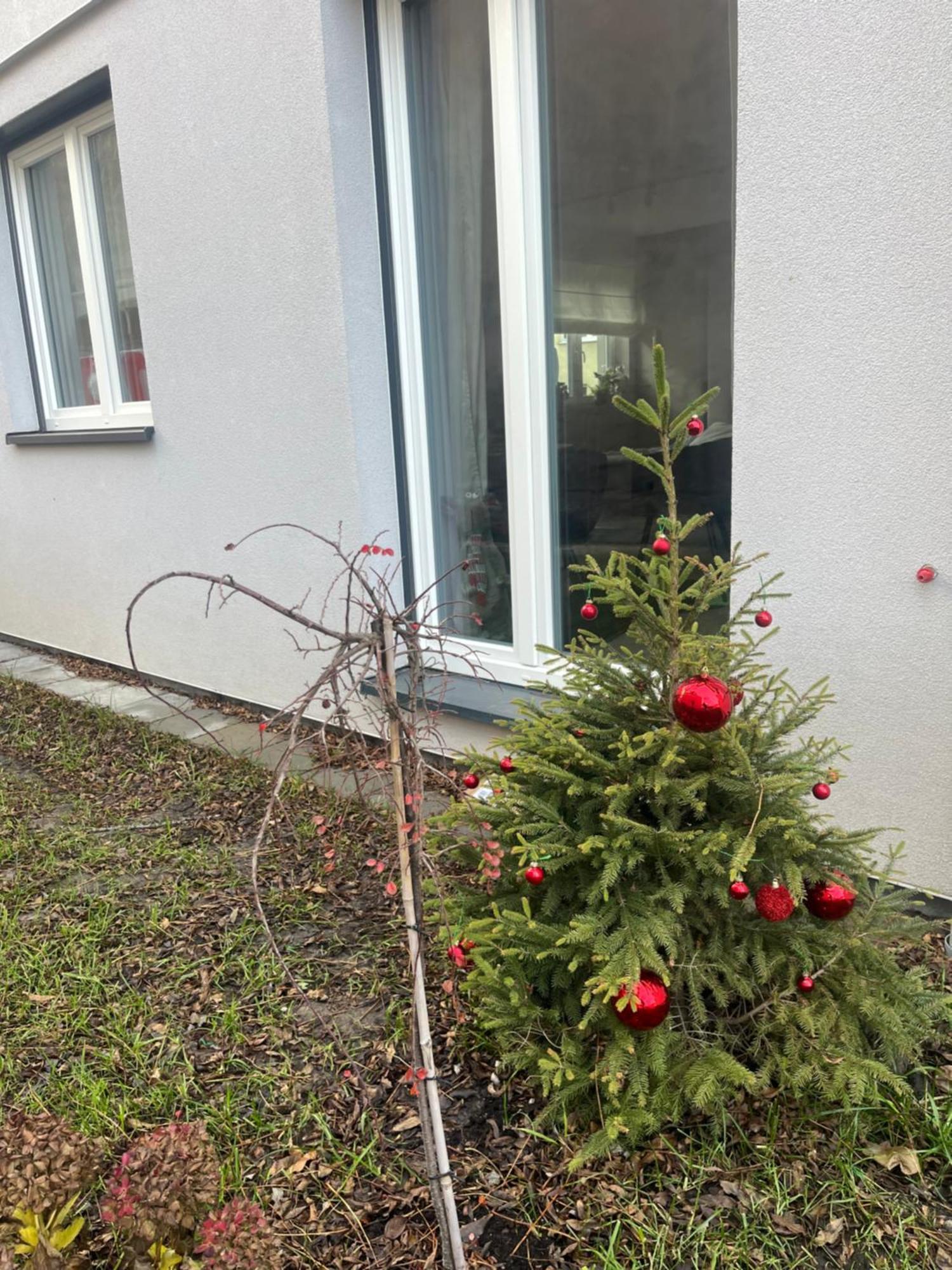 Apartament Kaszmirowy Bielsko-Biała Extérieur photo