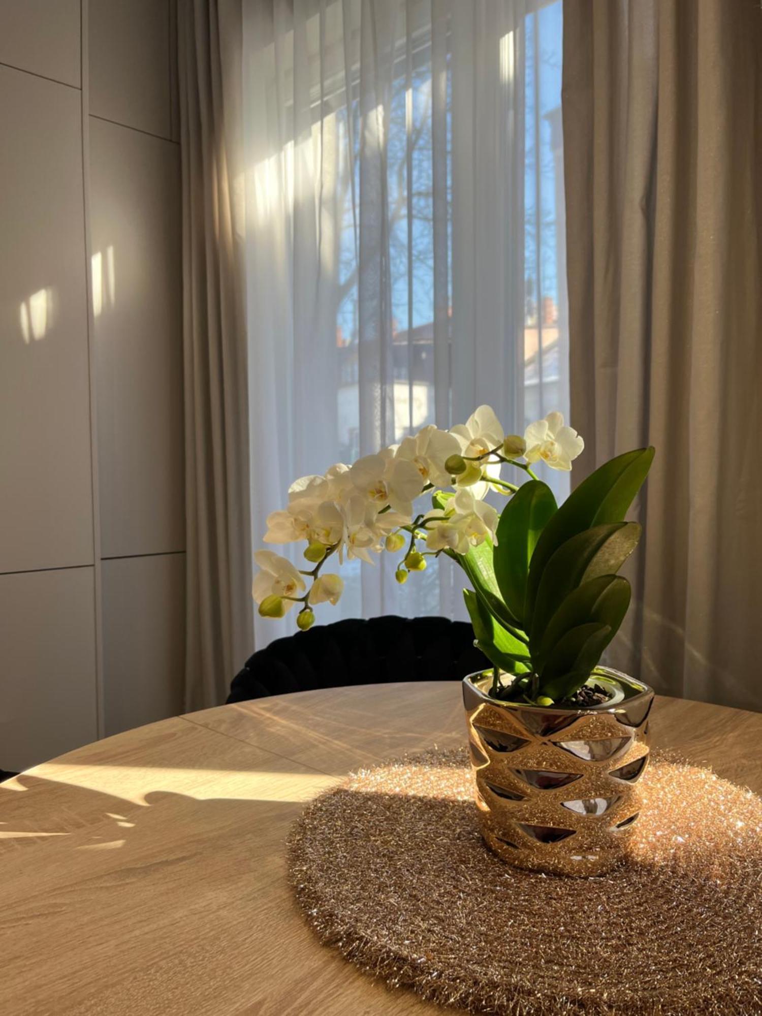 Apartament Kaszmirowy Bielsko-Biała Extérieur photo
