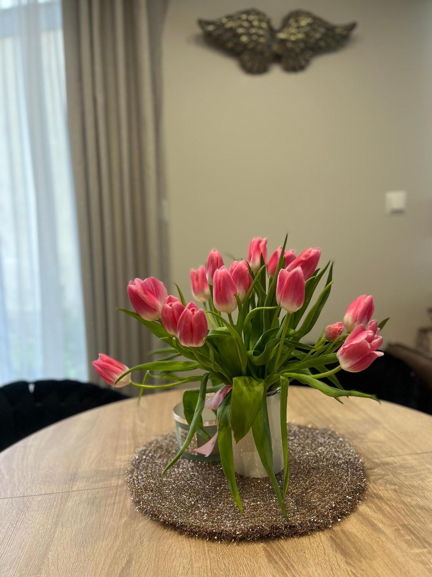 Apartament Kaszmirowy Bielsko-Biała Extérieur photo